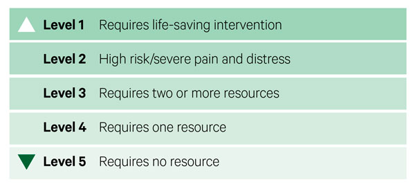 Emergency Severity Index (ESI)