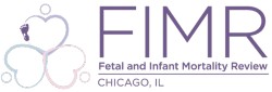 Fetal and Infant Mortality Review logo