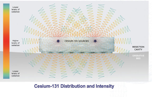 Cesium0131 distribution and intensity