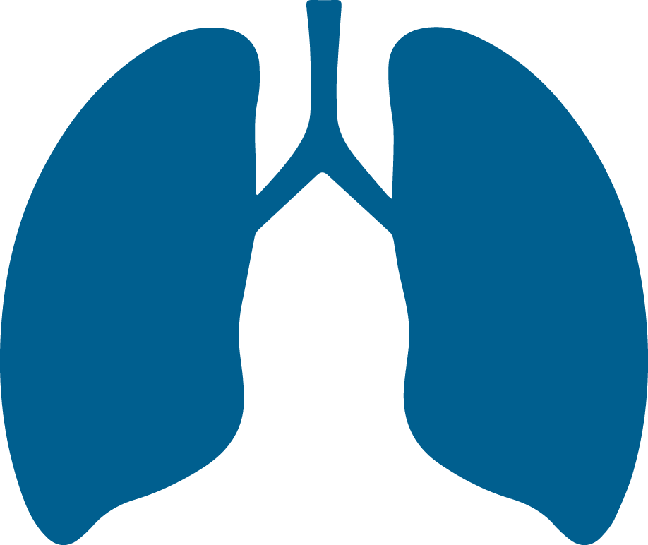 Silhouette of lungs