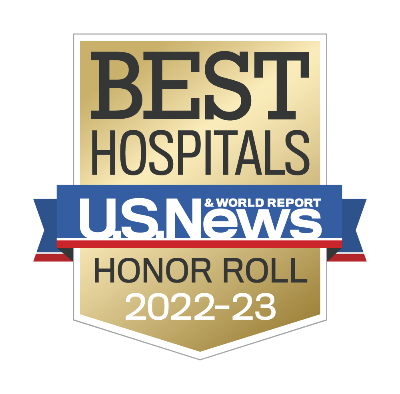 U.S. News badge ranking RUSH among the top 20 hospitals in the nation