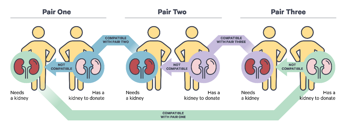 Three pairs of not compatible donors will swap with different donors and recievers until all three pairs have a compatible donor in each pair of donors solving all in-compatible issues.