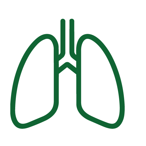 Lung icon