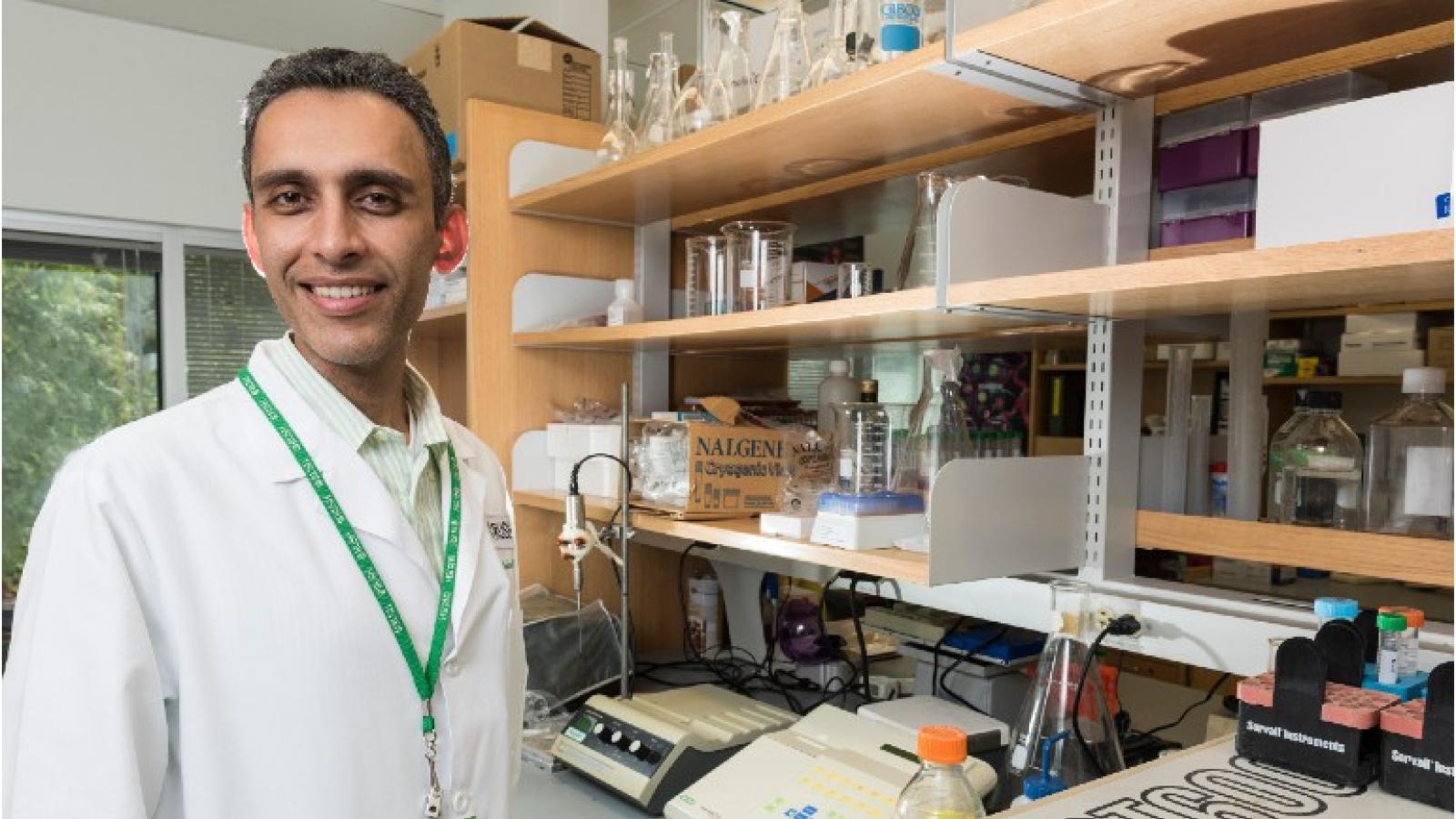 Faraz Bishehsari MD, PhD