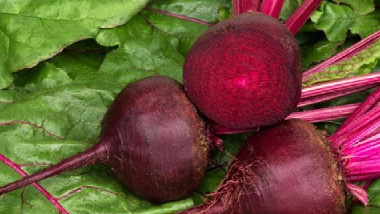 beet-soup-recipe.jpg