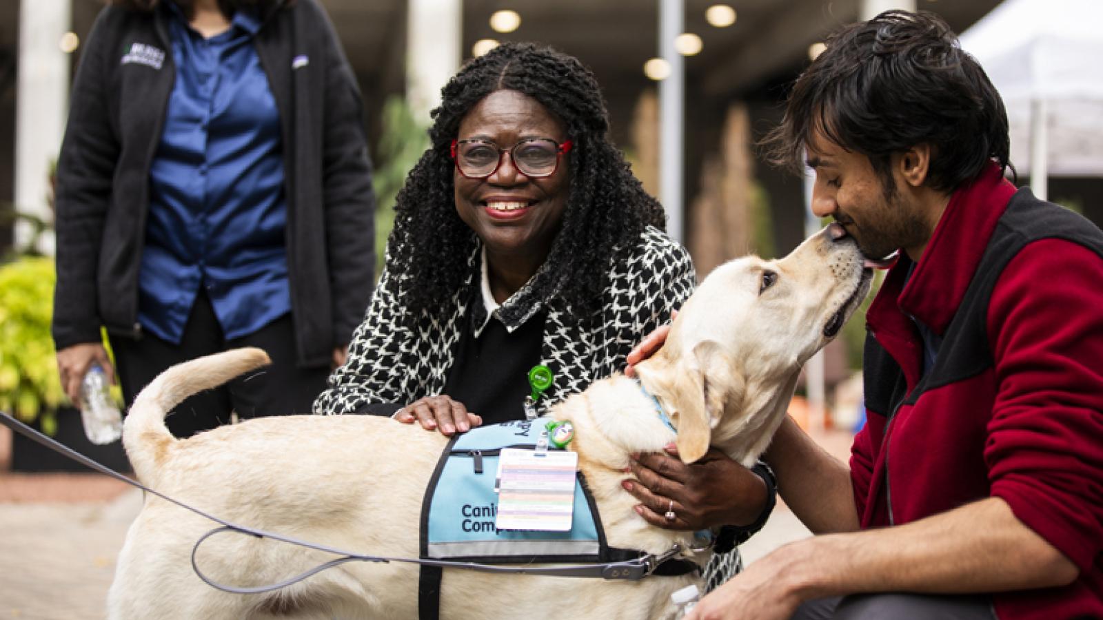 Two people interact with a yellow service dog wearing a vest while one person pets the dog.