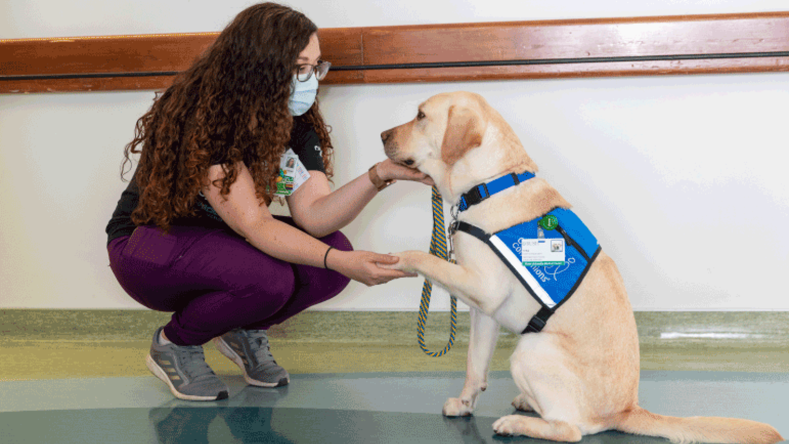  FacilityDog_WebFeature