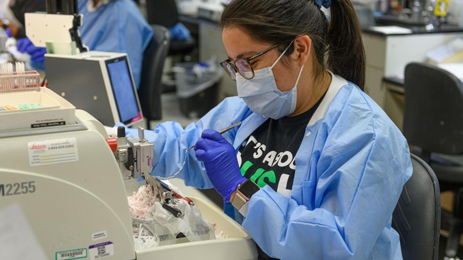 Rush Celebrates Its Medical Laboratory Professionals 