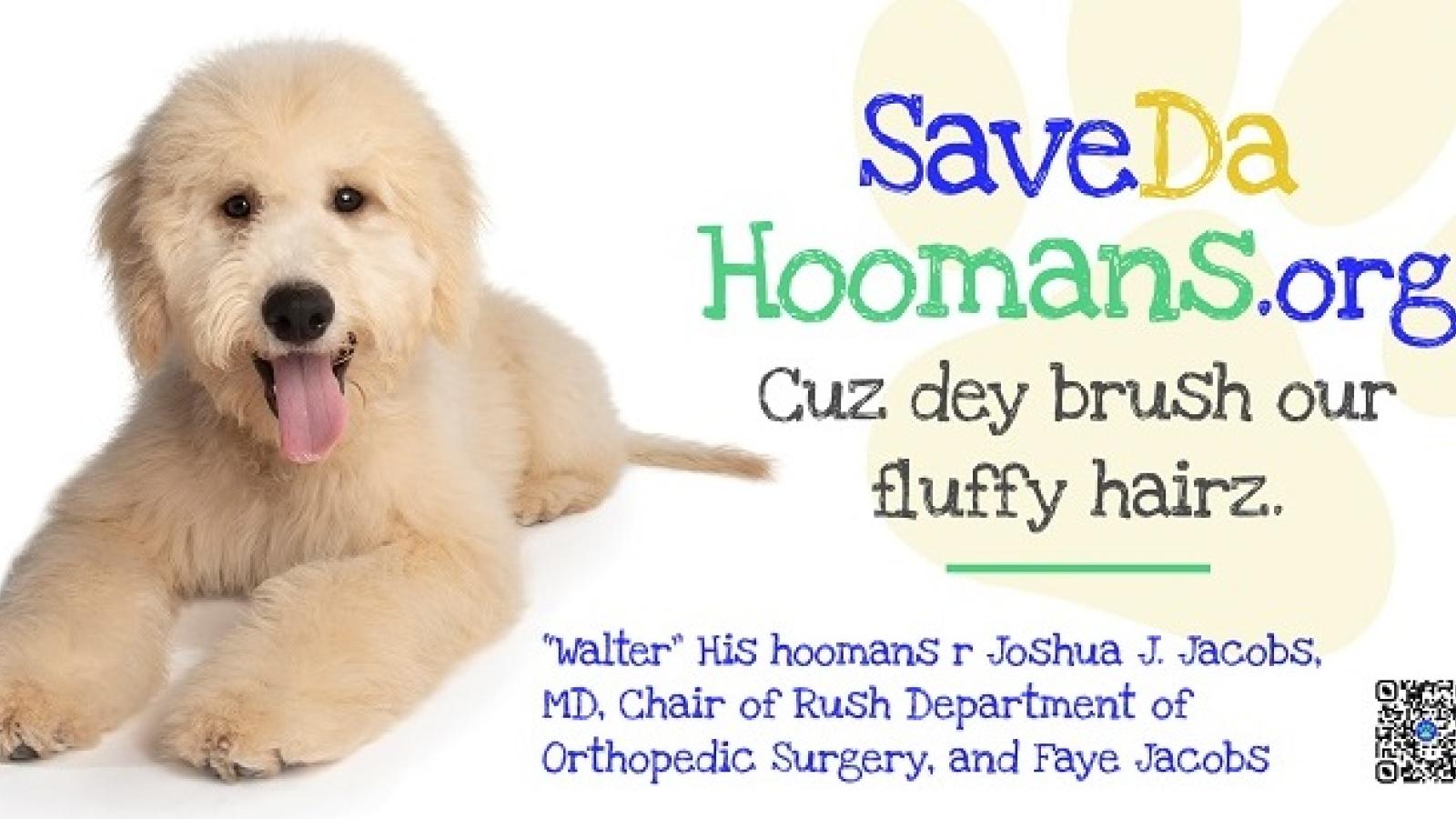 Save Da Hoomans Campaign - Walter