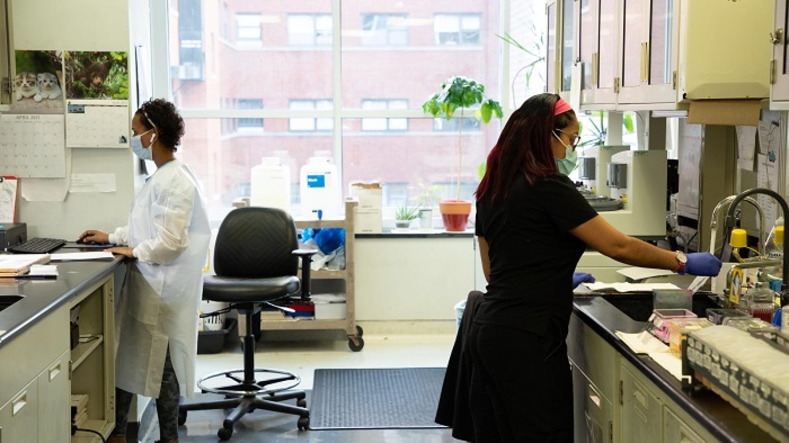 Get to know our lab managers