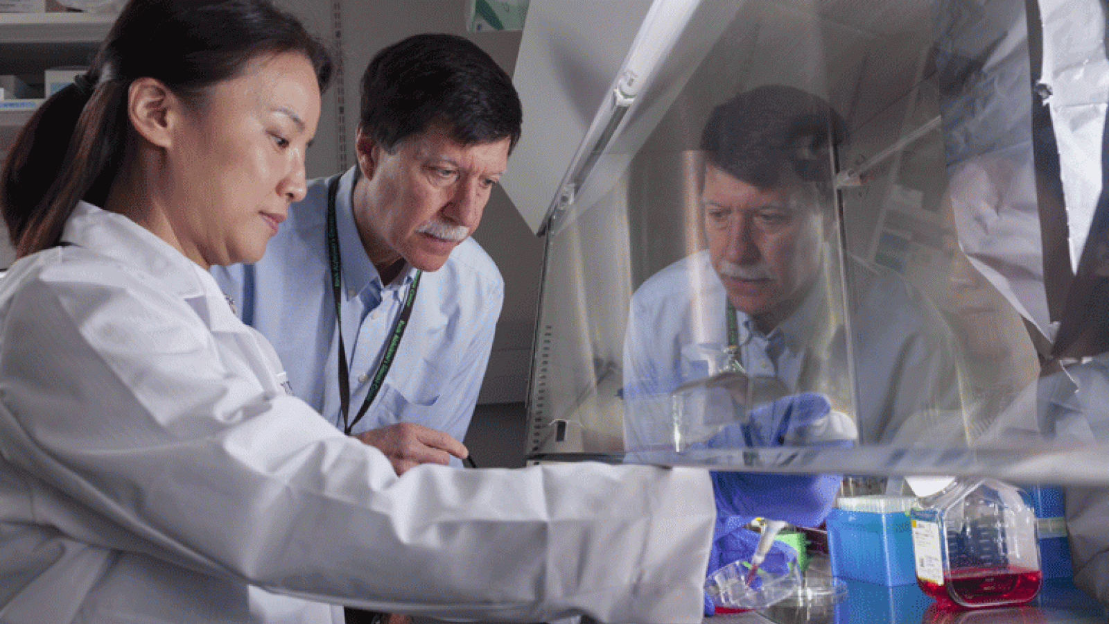 Dr. Bennett and Dr. Wang