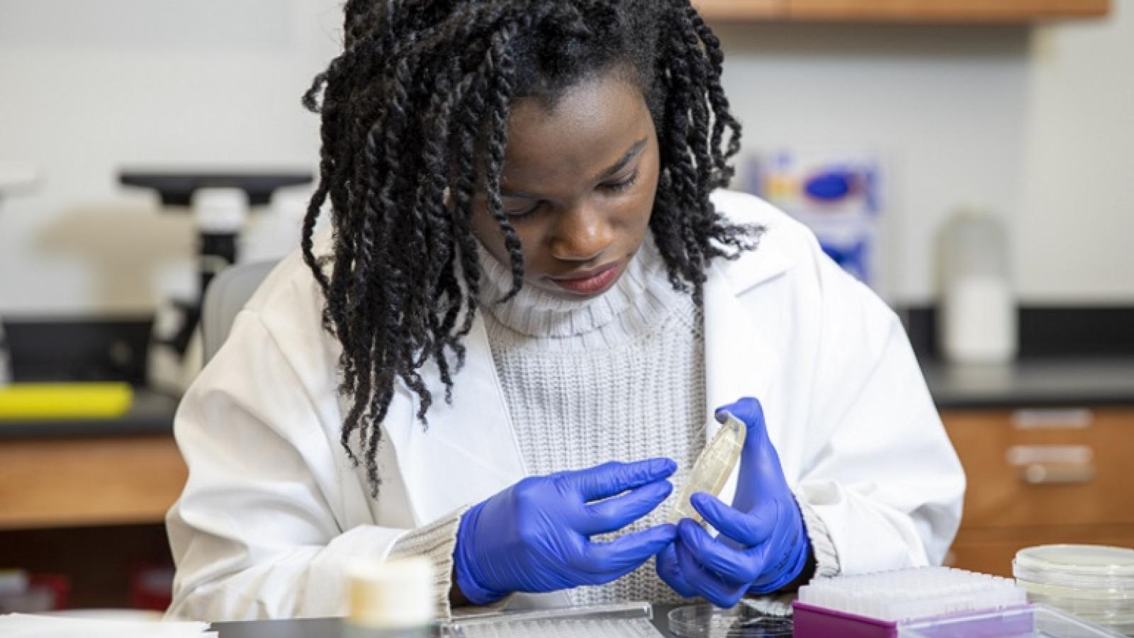 Student working on biotech research