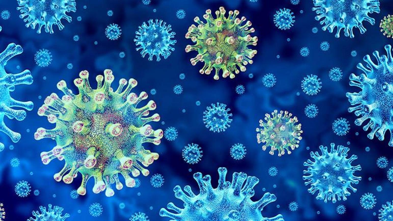 Microscopic view of coronavirus