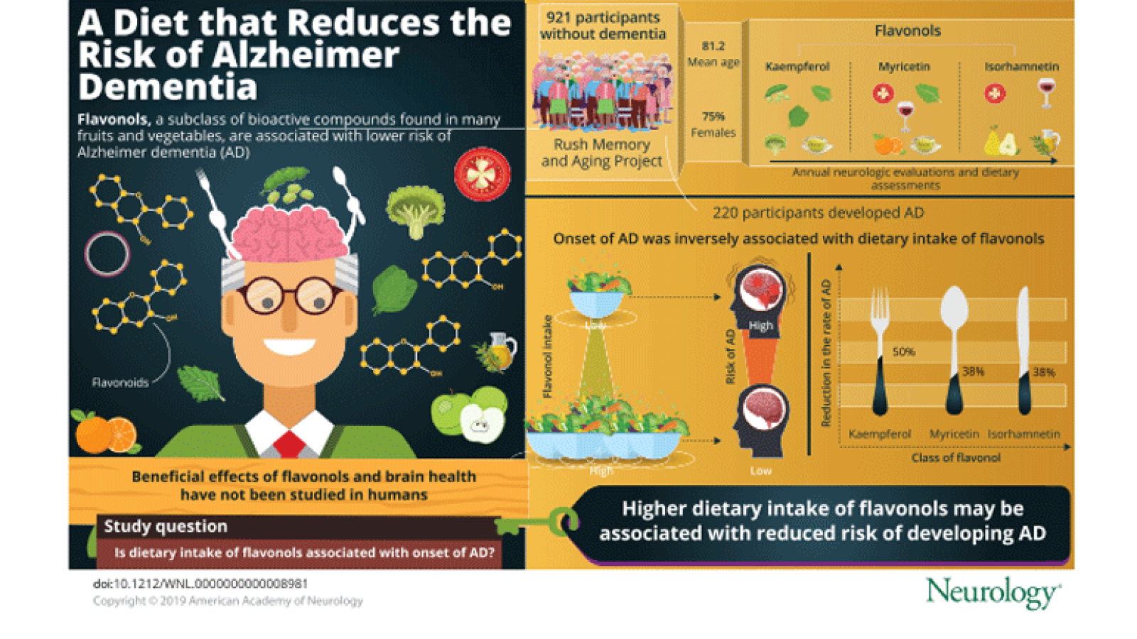 flavonols infographic 1.png