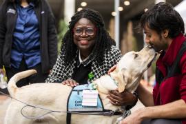 Two people interact with a yellow service dog wearing a vest while one person pets the dog.
