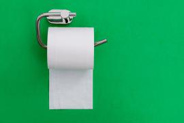 A roll of toilet paper on a green wall.