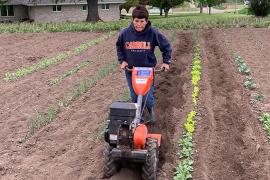 Diane tills the soil in her garden