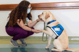  FacilityDog_WebFeature