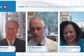 Video Screen shot of BMO Panel