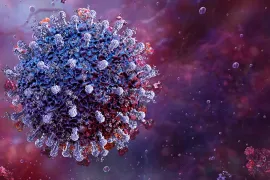 Image of the SARS-CoV-2 Stratus variant