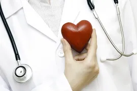 Doctor with stethoscope holding heart near chest