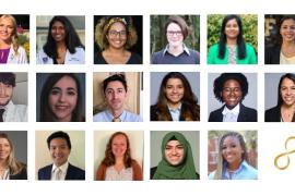 Gold Foundation Summer Fellows - 2022