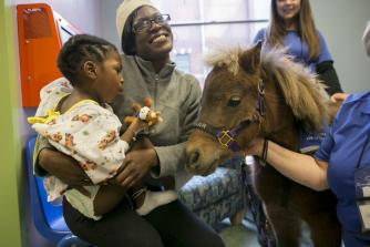 patient visiting with miniature horse