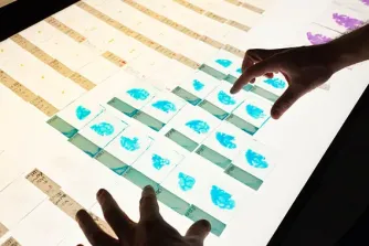 Neurology provider reviewing scans