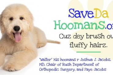 Save Da Hoomans Campaign - Walter