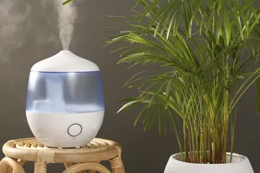 Humidifier with steam next to a houseplant