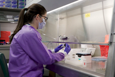 A scientist prepares samples for genomic sequencing