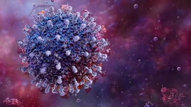 Image of the SARS-CoV-2 Stratus variant