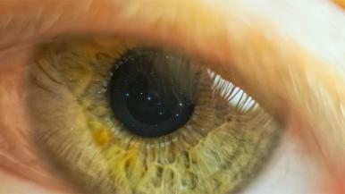 Close-up on a human eye