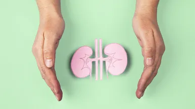 Hands circling paper kidneys