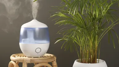 Humidifier with steam next to a houseplant