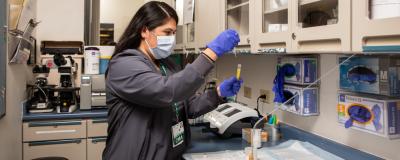 A researcher tests a result in a lab