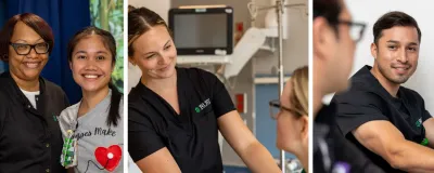 Rush University Medical Center Nursing Annual Report – FY 2024